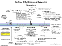 ECS: Surface CO2 Reservoir Dynamics